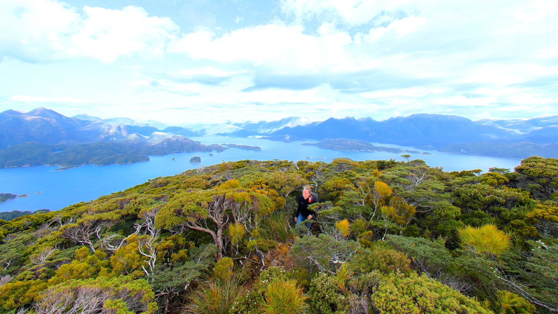 Overlooking remote wilderness islands